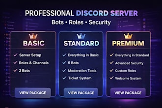 create a professional discord server with bots roles and security