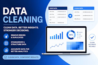 clean, preprocess and format your dataset professionally