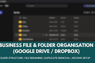 professionally organise your business files and folders