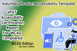 do website accessibility testing and write a vpat report