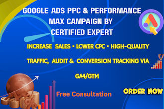 google ads adwords performance max and conversions tracking specialist