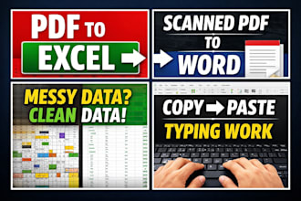 do accurate excel data entry and PDF conversion