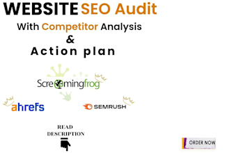 do complete SEO website audit with detailed report action plan