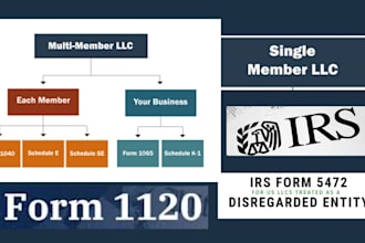prepare and efile partnership tax, business tax, irs filing, form 1065