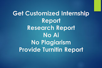 a customized internship report
