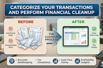 categorize your transactions and perform financial cleanup