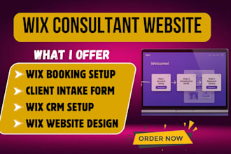 design wix consultant website with intake form booking and CRM setup