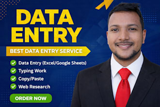 do manual data entry, copy paste, excel data entry