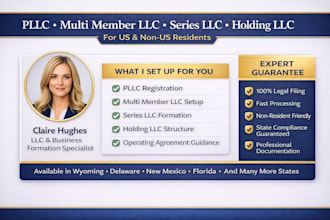 setup pllc, multi member llc, series llc, holding llc for US and non residents