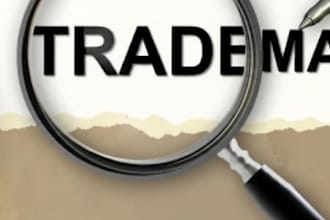 handle trademark prosecution and opposition matters in india