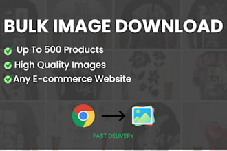 bulk download up to 500 product images from public websites