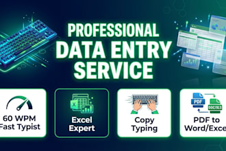 provide fast and reliable data entry and microsoft excel services