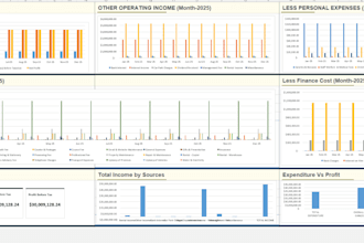 do professional excel data analysis