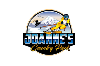 create exclusive and marvelous skiing logo design
