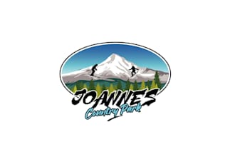 create graceful and fantastic skiing logo design