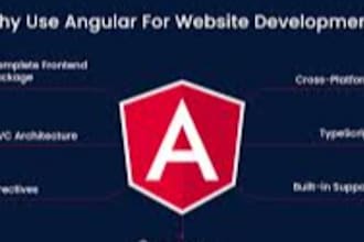 build dotnet core angular web applications