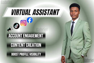 be a virtual assistant for tiktok, instagram, and facebook,