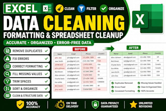 do excel data cleaning formatting and spreadsheet cleanup