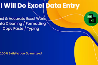 do excel data entry, data cleaning, formatting, pivot table