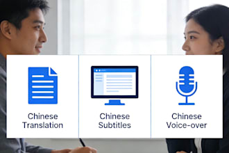 translate to chinese chinese subtitles