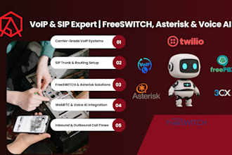 provide voip, sip, pbx, asterisk, and voice ai consultation