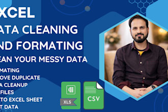 do excel data cleaning, formatting and sorting