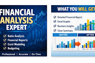 do financial analysis, ratio analysis and financial report in excel