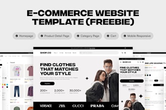 build professional portfolio website