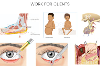 create detailed medical and anatomical illustrations