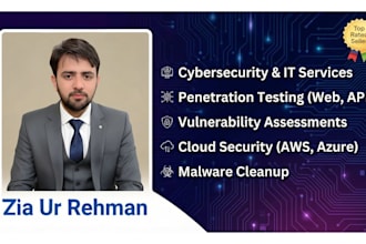 do cyber security auditing and pentest