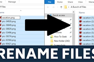 bulk rename up to 10,000 files with custom rules and backup