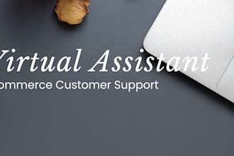 customer support and ecommerce logistics virtual assistant