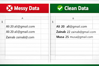 clean and organize your excel or CSV data