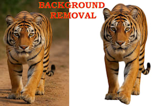 remove image background professionally