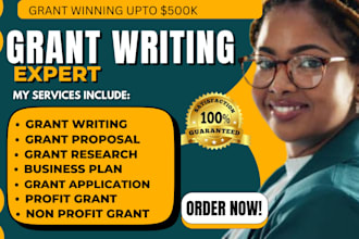 do business plan, niche research,  market research, competitor analysis