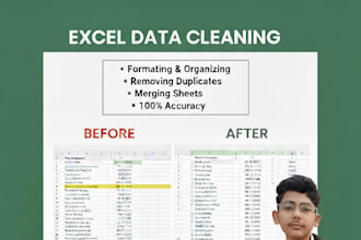 do expert excel data cleaning, formatting, and removing duplicates