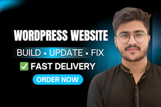 wordpress customization, website changes or layout fixes