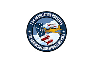 create professional and specially aviation logo design