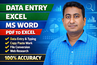 provide expert data entry, microsoft excel, word and translation