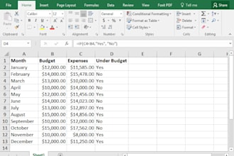 do data entry in excel , word