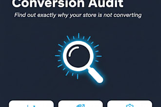 audit your ecommerce store and show you why it is not converting