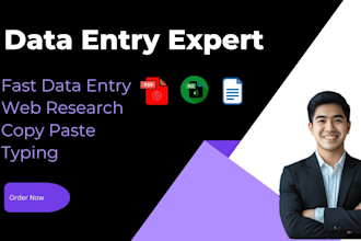 do 2 hours of any urgent excel data entry or web research