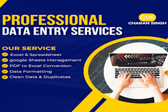 do accurate data entry, excel data entry, formatting, and copy paste work