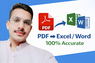 convert PDF to excel or word with delivery on the time