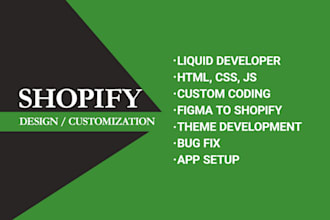 provide 8 hours of professional shopify development support