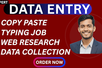 be your professional data entry operator