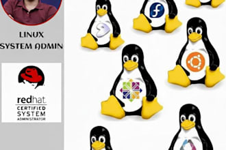 be your linux administrator and install or configure any software