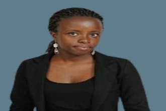 write engineering on software, automotive, biomedical research