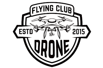 design excellent drone logo