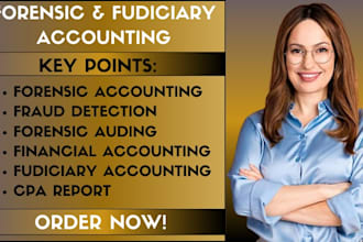 do forensic accounting, fraud investigation, asset tracing and forensic audit